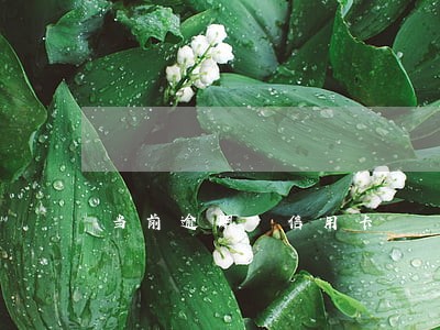 当前逾期 信用卡 当前逾期 信用卡